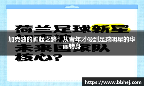 yy易游体育