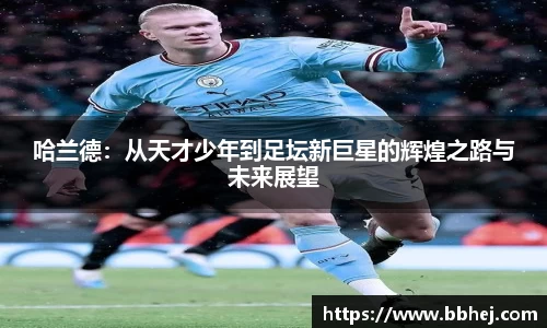 yy易游