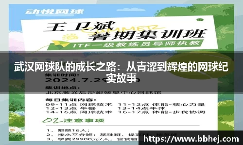 yy体育